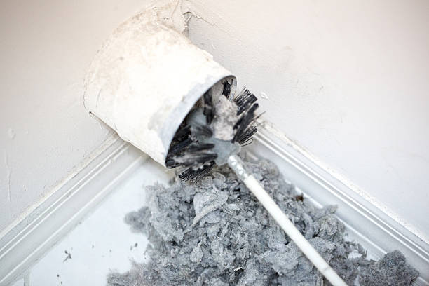 Best Affordable Duct Cleaning Services  in West Vero Corridor, FL